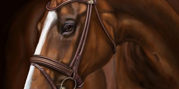 Цифровые иллюстрации на заказ в СПб
